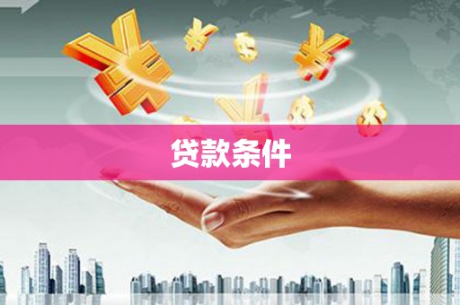 泸水贷款条件