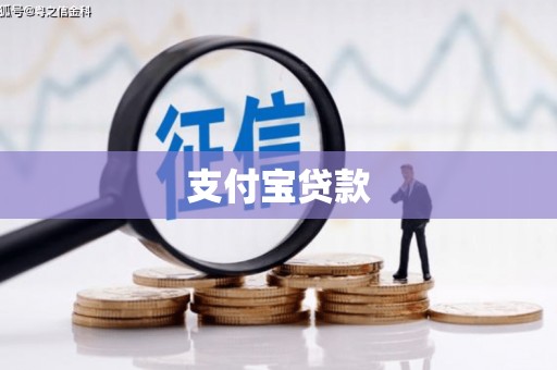 泸水支付宝贷款