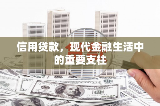 泸水信用贷款，现代金融生活中的重要支柱