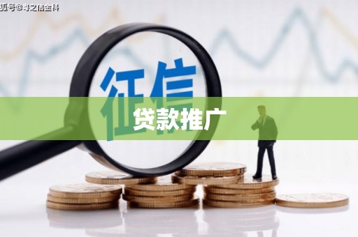 泸水贷款推广