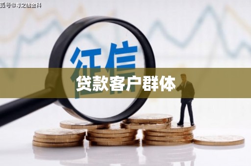 泸水贷款客户群体