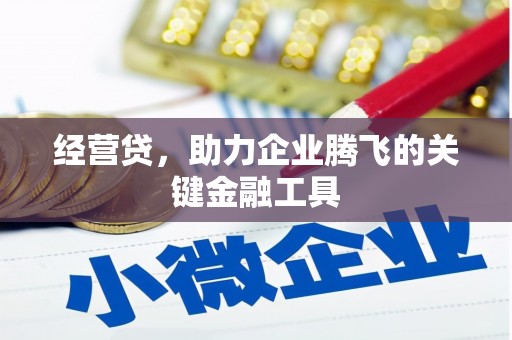 泸水经营贷，助力企业腾飞的关键金融工具