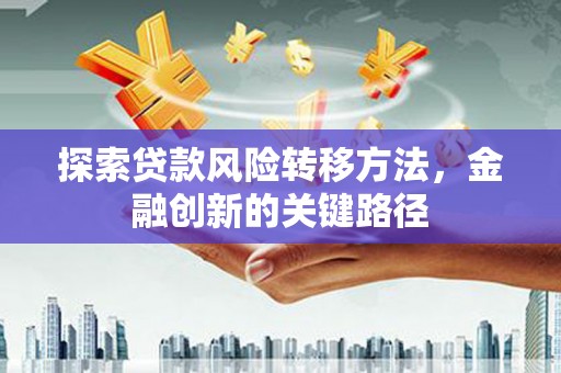 泸水探索贷款风险转移方法，金融创新的关键路径