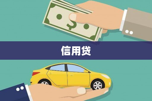 泸水信用贷