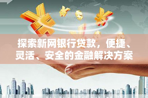 泸水探索新网银行贷款，便捷、灵活、安全的金融解决方案