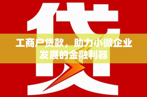 泸水工商户贷款，助力小微企业发展的金融利器