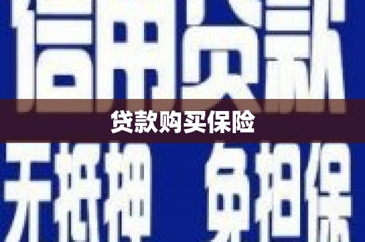 泸水贷款购买保险