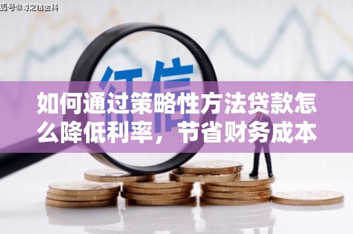泸水如何通过策略性方法贷款怎么降低利率，节省财务成本