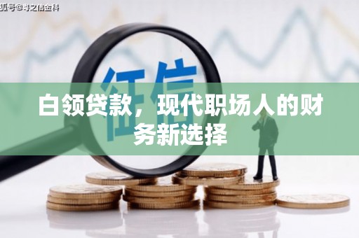 泸水白领贷款，现代职场人的财务新选择