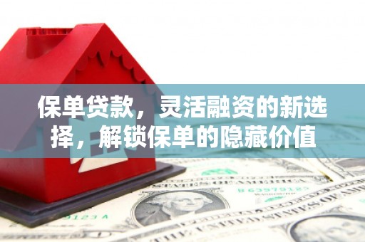 泸水保单贷款，灵活融资的新选择，解锁保单的隐藏价值