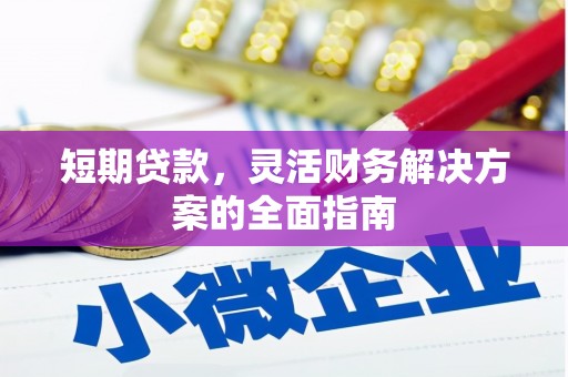 泸水短期贷款，灵活财务解决方案的全面指南