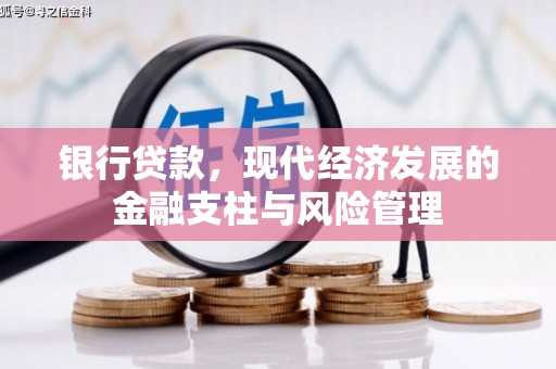 泸水银行贷款，现代经济发展的金融支柱与风险管理