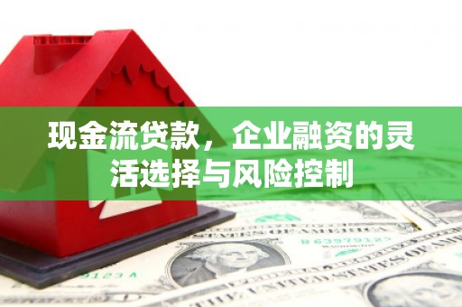 泸水现金流贷款，企业融资的灵活选择与风险控制