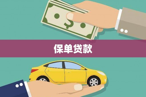 泸水保单贷款