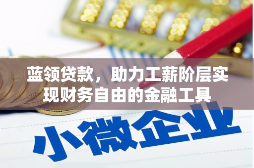 泸水蓝领贷款，助力工薪阶层实现财务自由的金融工具