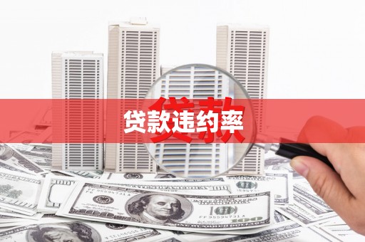 泸水贷款违约率