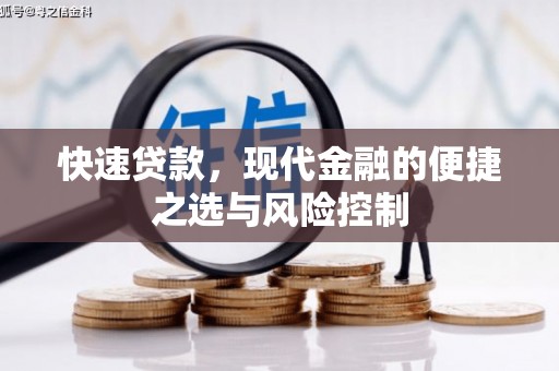 泸水快速贷款，现代金融的便捷之选与风险控制
