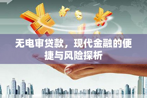 泸水无电审贷款，现代金融的便捷与风险探析
