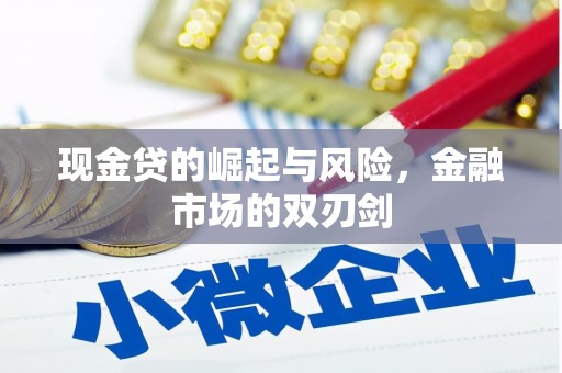 泸水现金贷的崛起与风险，金融市场的双刃剑