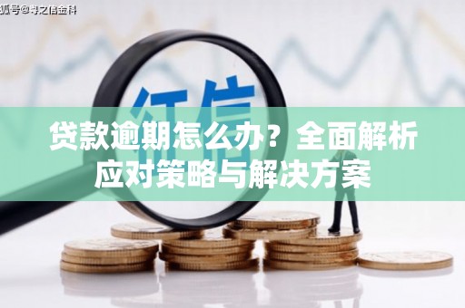 泸水贷款逾期怎么办？全面解析应对策略与解决方案