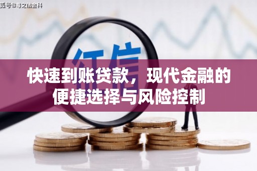 泸水快速到账贷款，现代金融的便捷选择与风险控制