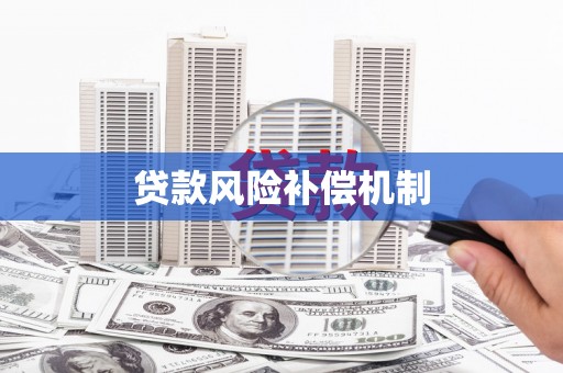 泸水贷款风险补偿机制