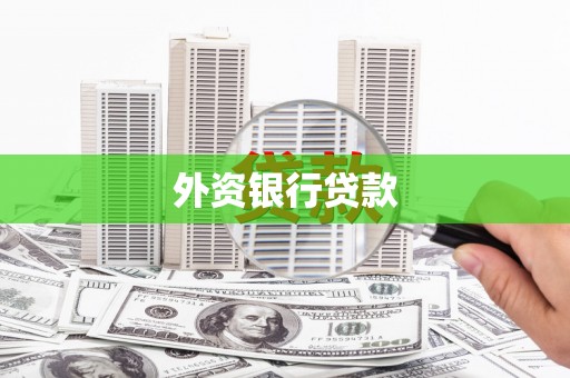 泸水外资银行贷款