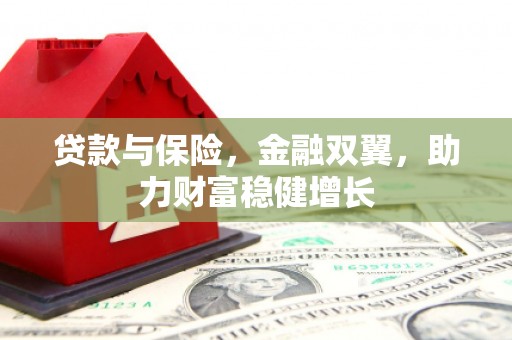 泸水贷款与保险，金融双翼，助力财富稳健增长