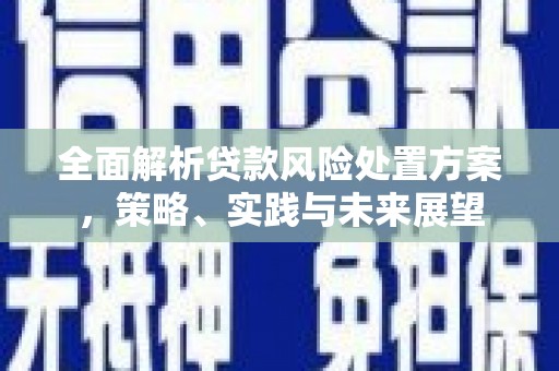 泸水全面解析贷款风险处置方案，策略、实践与未来展望