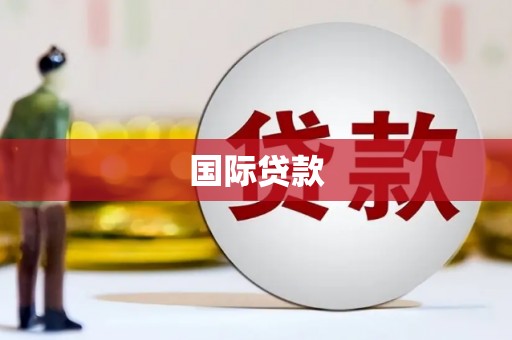 泸水国际贷款