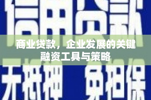 泸水商业贷款，企业发展的关键融资工具与策略