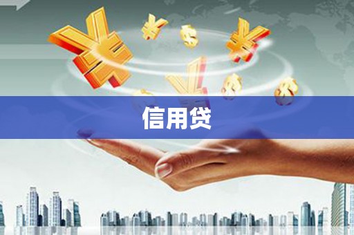 泸水信用贷