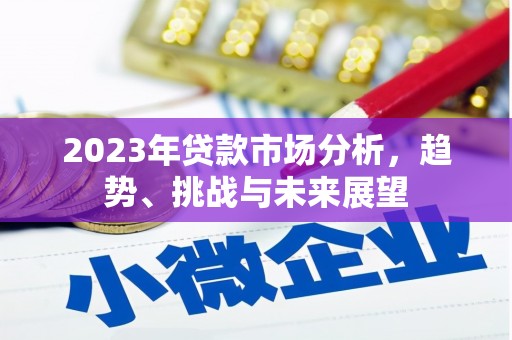 泸水2023年贷款市场分析，趋势、挑战与未来展望