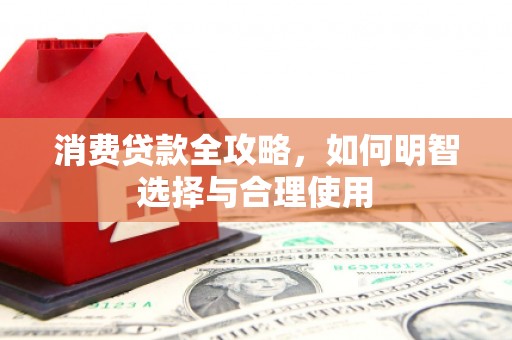 泸水消费贷款全攻略，如何明智选择与合理使用