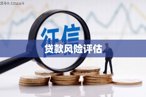 泸水贷款风险评估