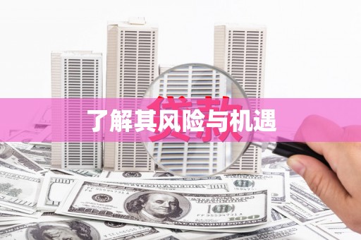 泸水了解其风险与机遇