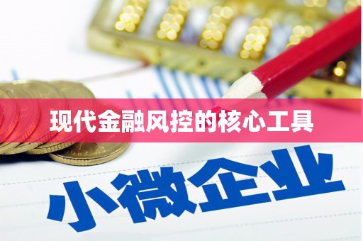 泸水现代金融风控的核心工具