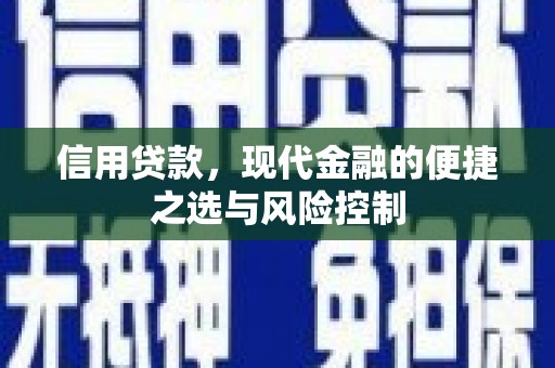 泸水信用贷款，现代金融的便捷之选与风险控制