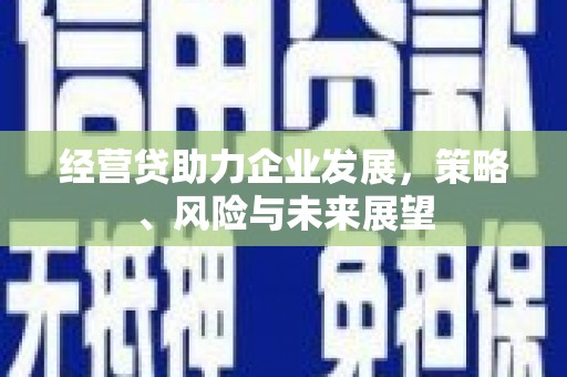 泸水经营贷助力企业发展，策略、风险与未来展望