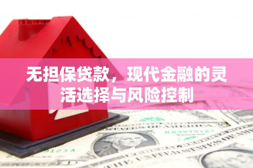 泸水无担保贷款，现代金融的灵活选择与风险控制