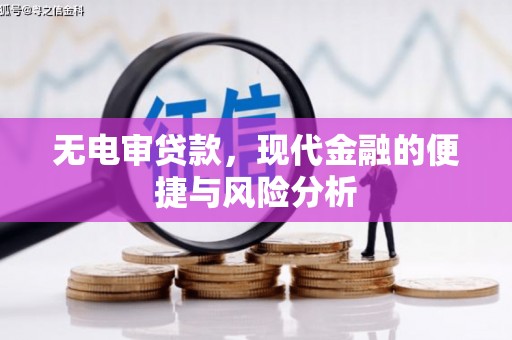 泸水无电审贷款，现代金融的便捷与风险分析