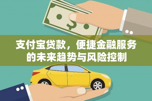泸水支付宝贷款，便捷金融服务的未来趋势与风险控制