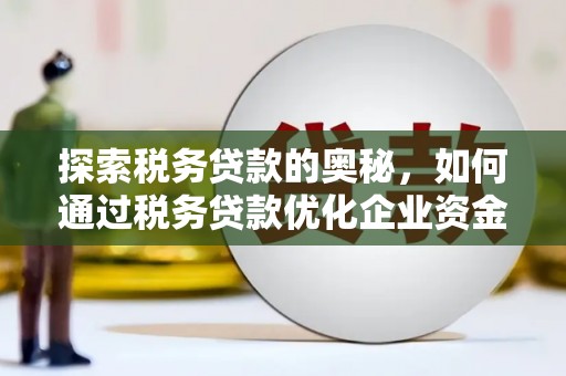 泸水探索税务贷款的奥秘，如何通过税务贷款优化企业资金流