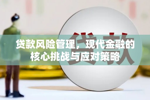泸水贷款风险管理，现代金融的核心挑战与应对策略