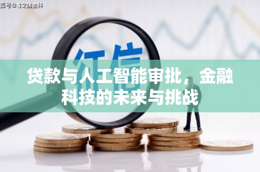 泸水贷款与人工智能审批，金融科技的未来与挑战