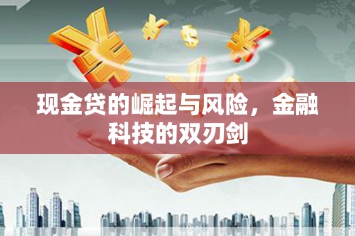 泸水现金贷的崛起与风险，金融科技的双刃剑