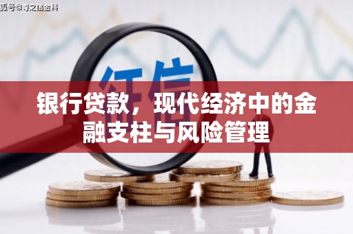泸水银行贷款，现代经济中的金融支柱与风险管理