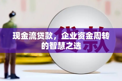 泸水现金流贷款，企业资金周转的智慧之选