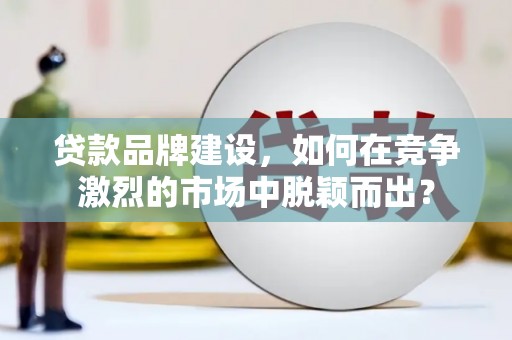 泸水贷款品牌建设，如何在竞争激烈的市场中脱颖而出？