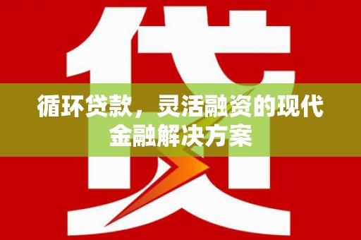 泸水循环贷款，灵活融资的现代金融解决方案